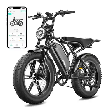 TST R004 Fat Tire